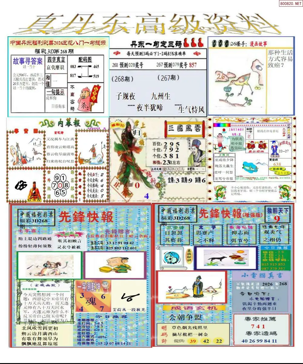 A307真丹东高级资料