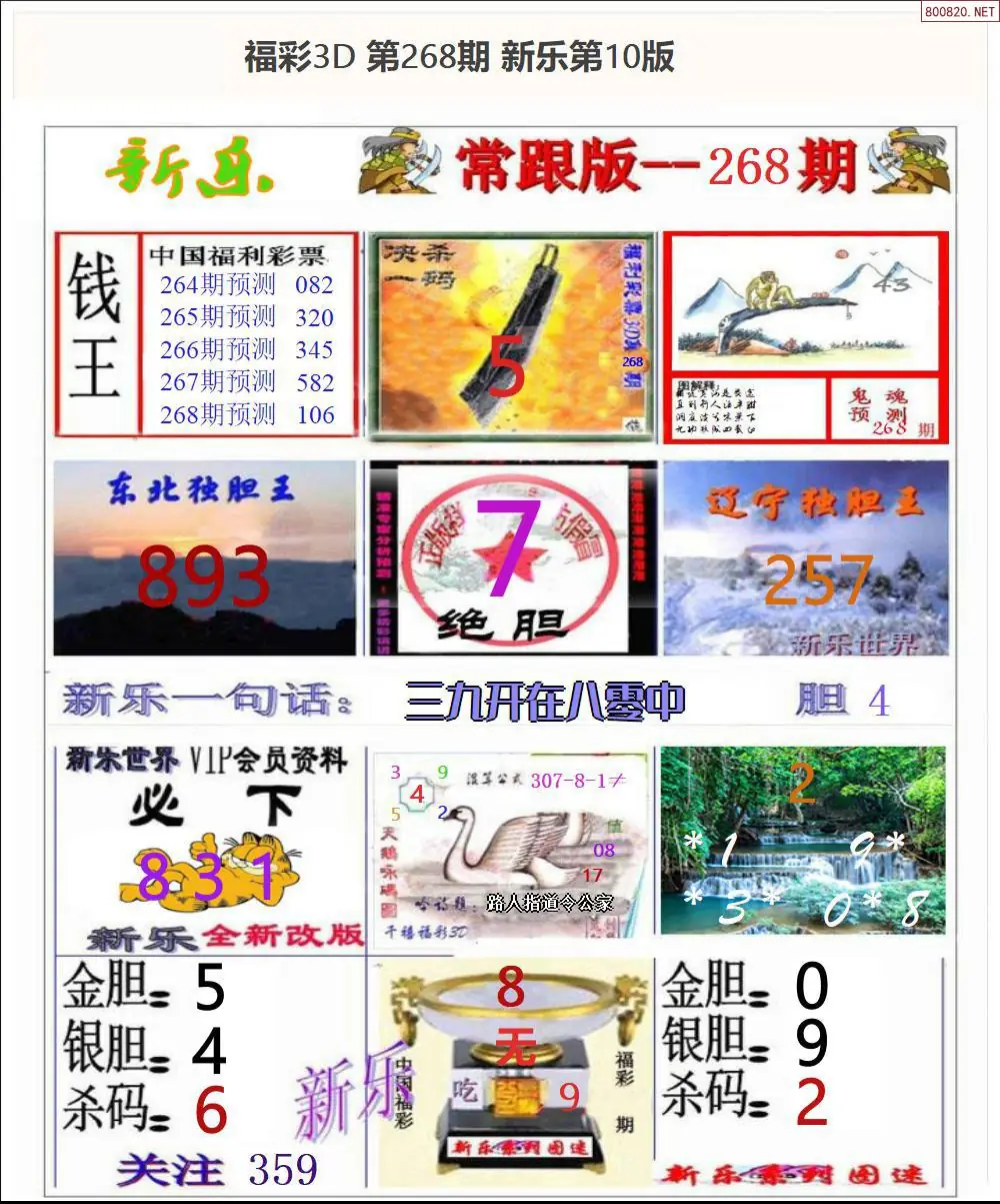 A366新乐报一版