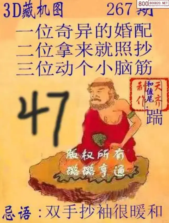 天齐3D藏机图