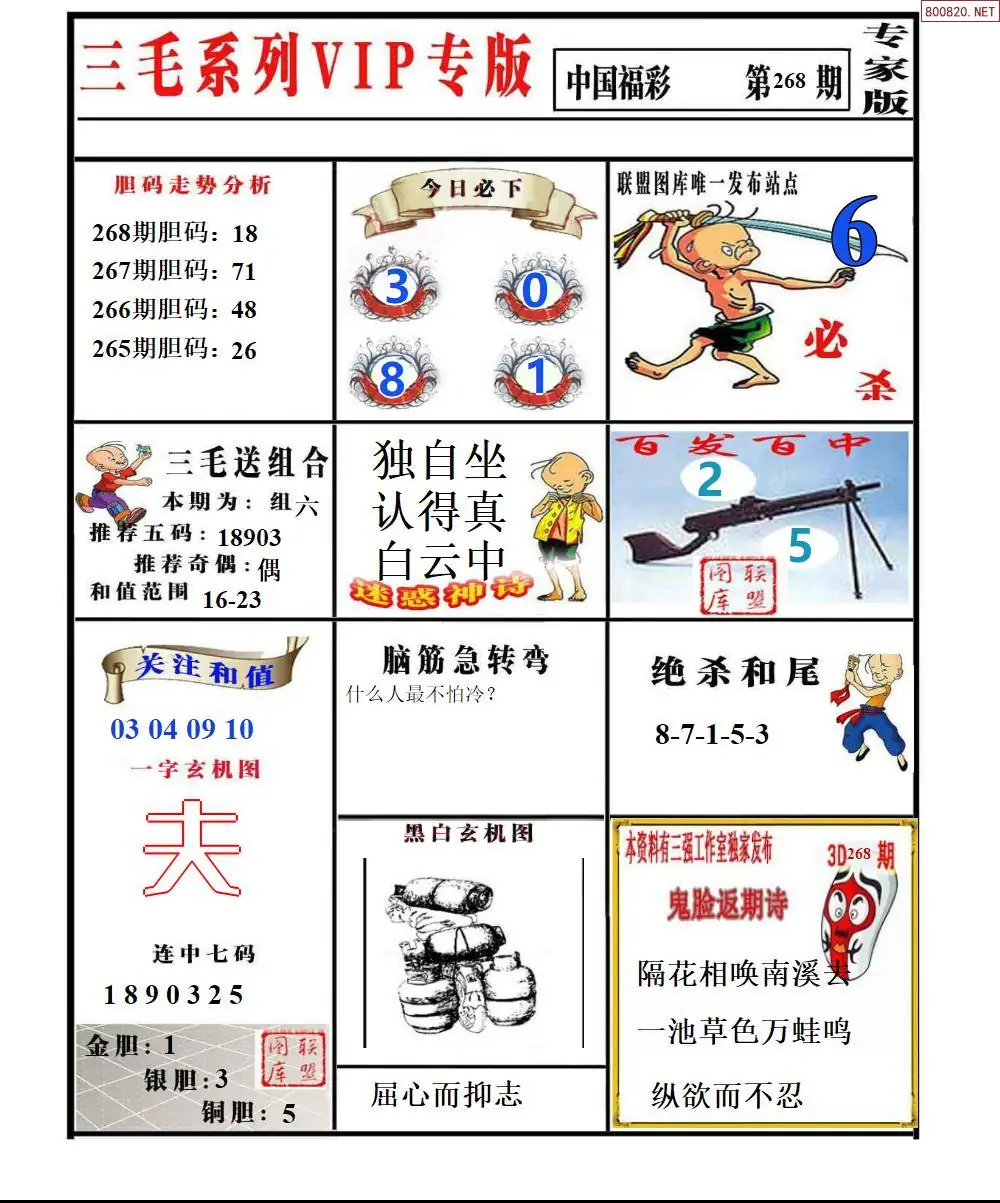 A231三毛系列VIP专版