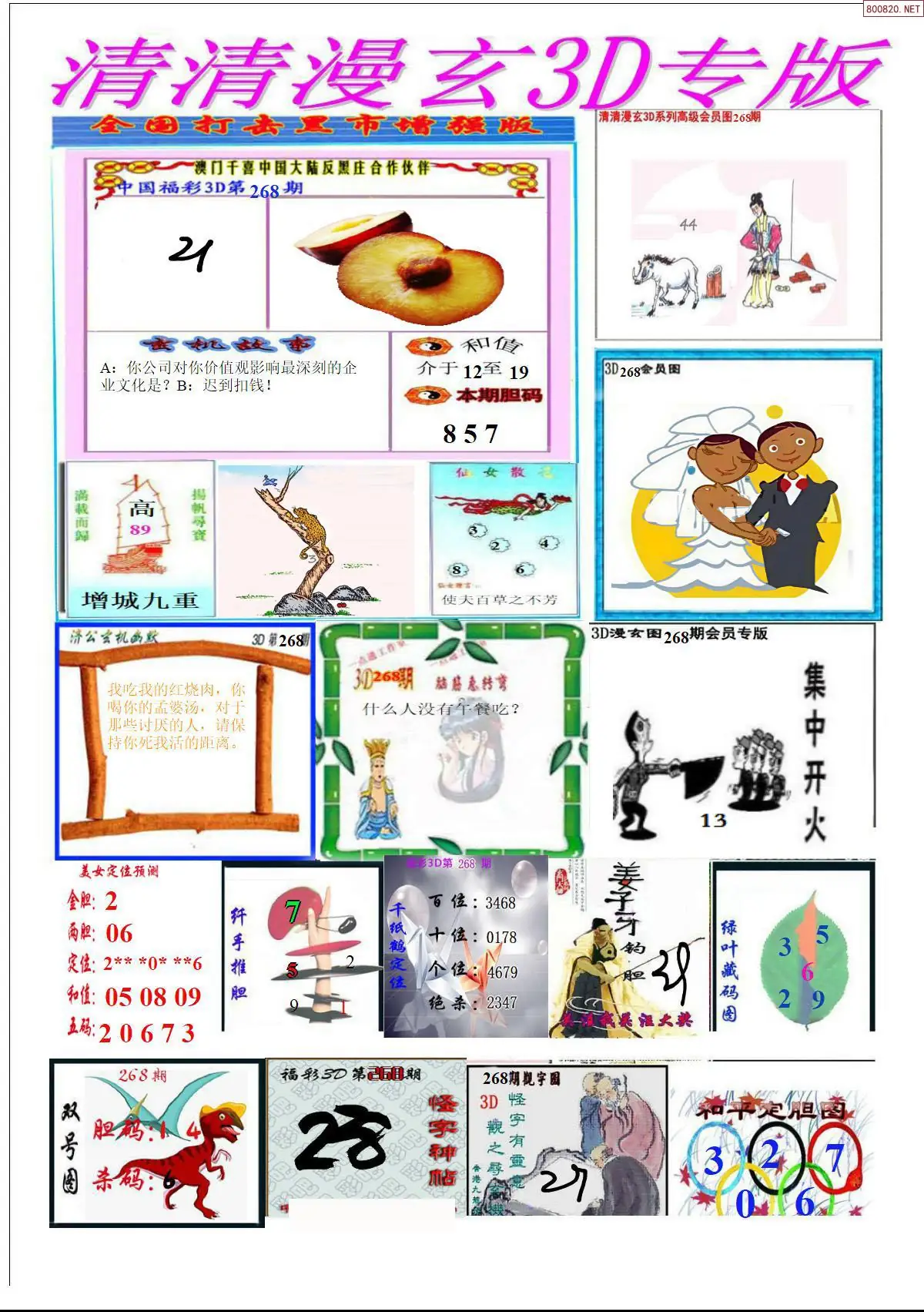 A311清清漫玄排版