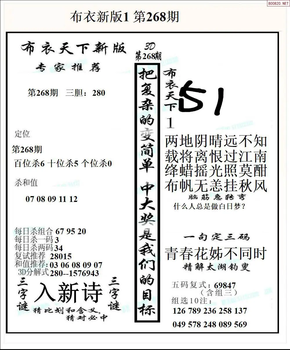 A51新版布衣1