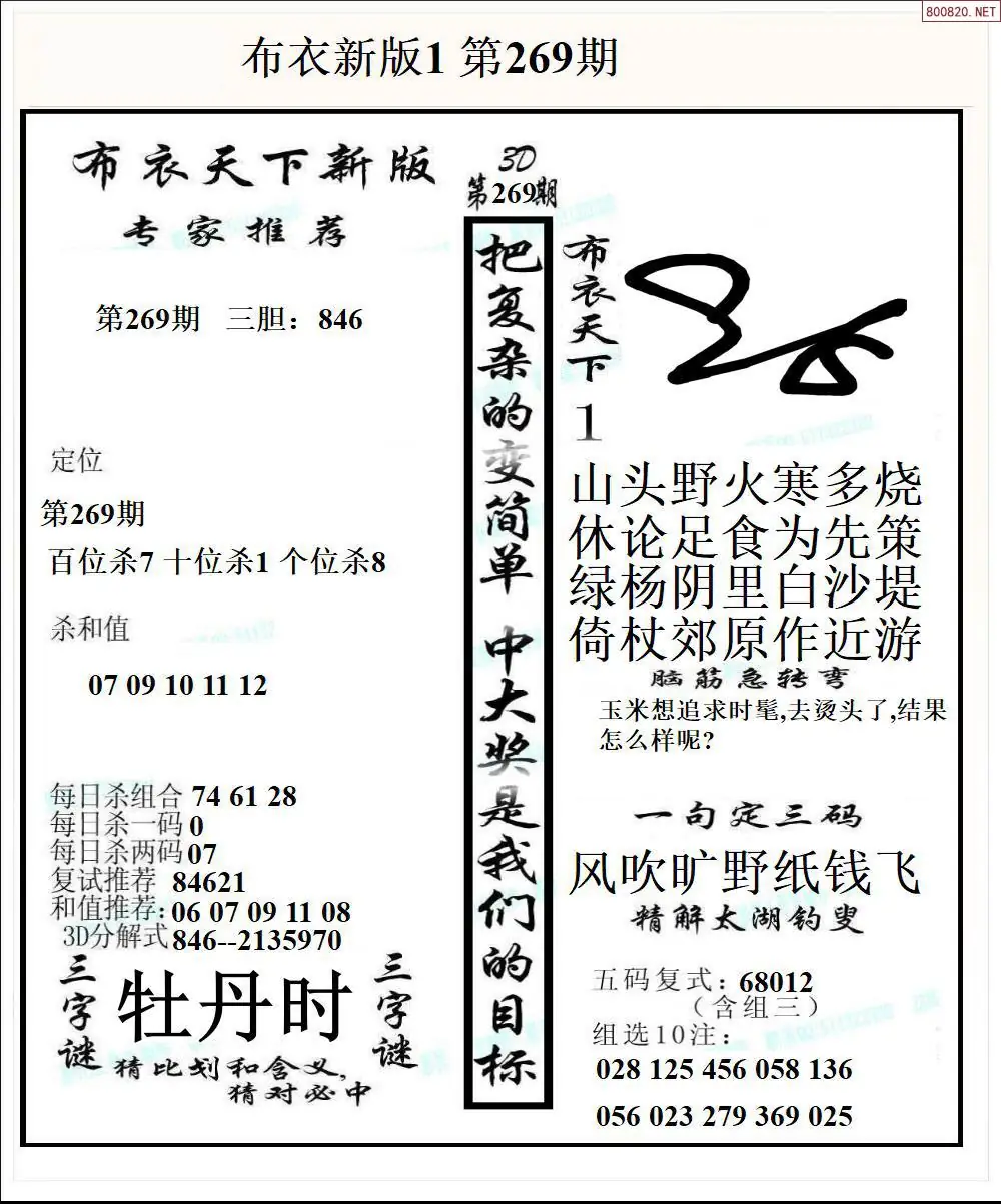 A51新版布衣1