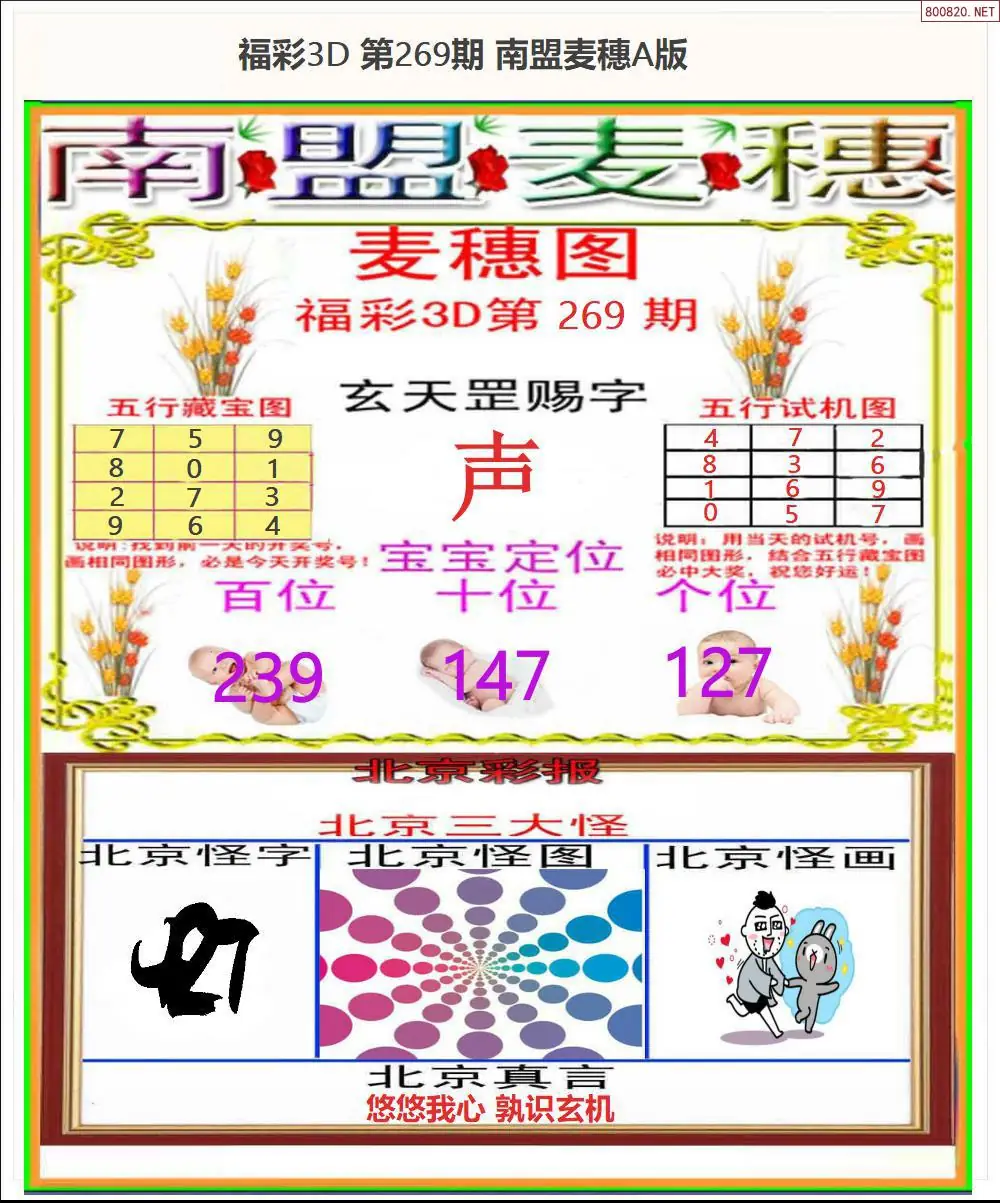 A181南盟麦穗A版