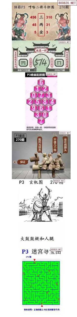 蜂巢天机图谜