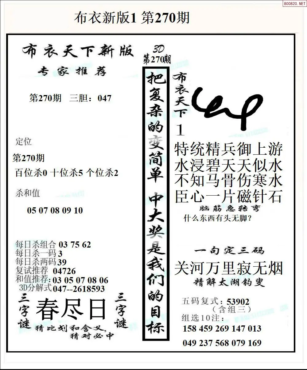 A51新版布衣1