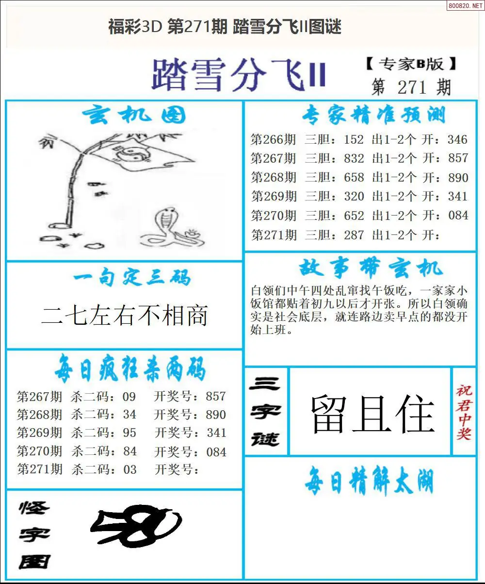 A168东北彩报2版