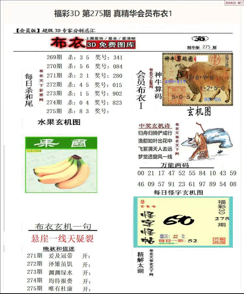 真精华会员布衣1