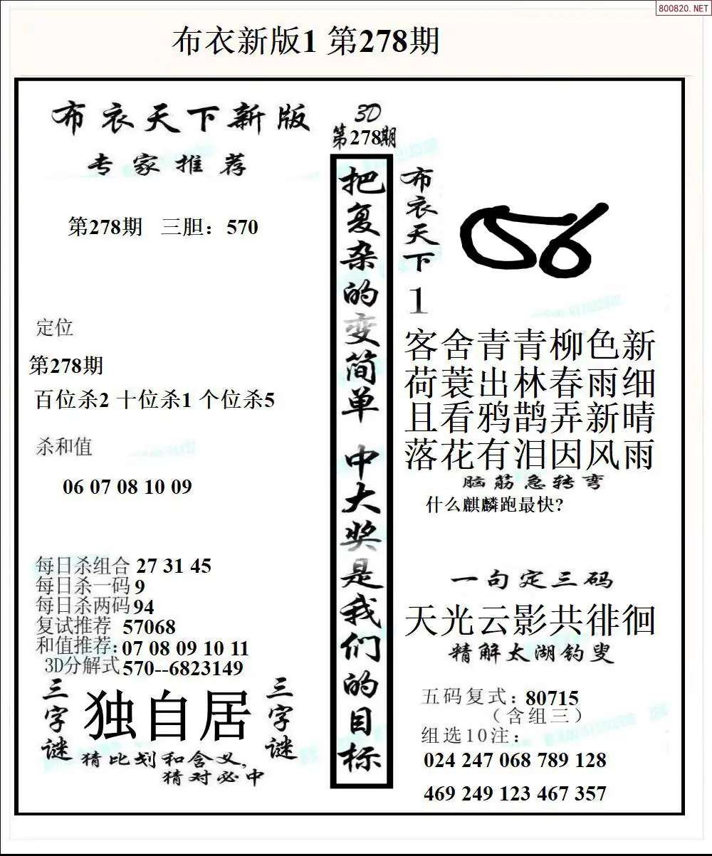A51新版布衣1