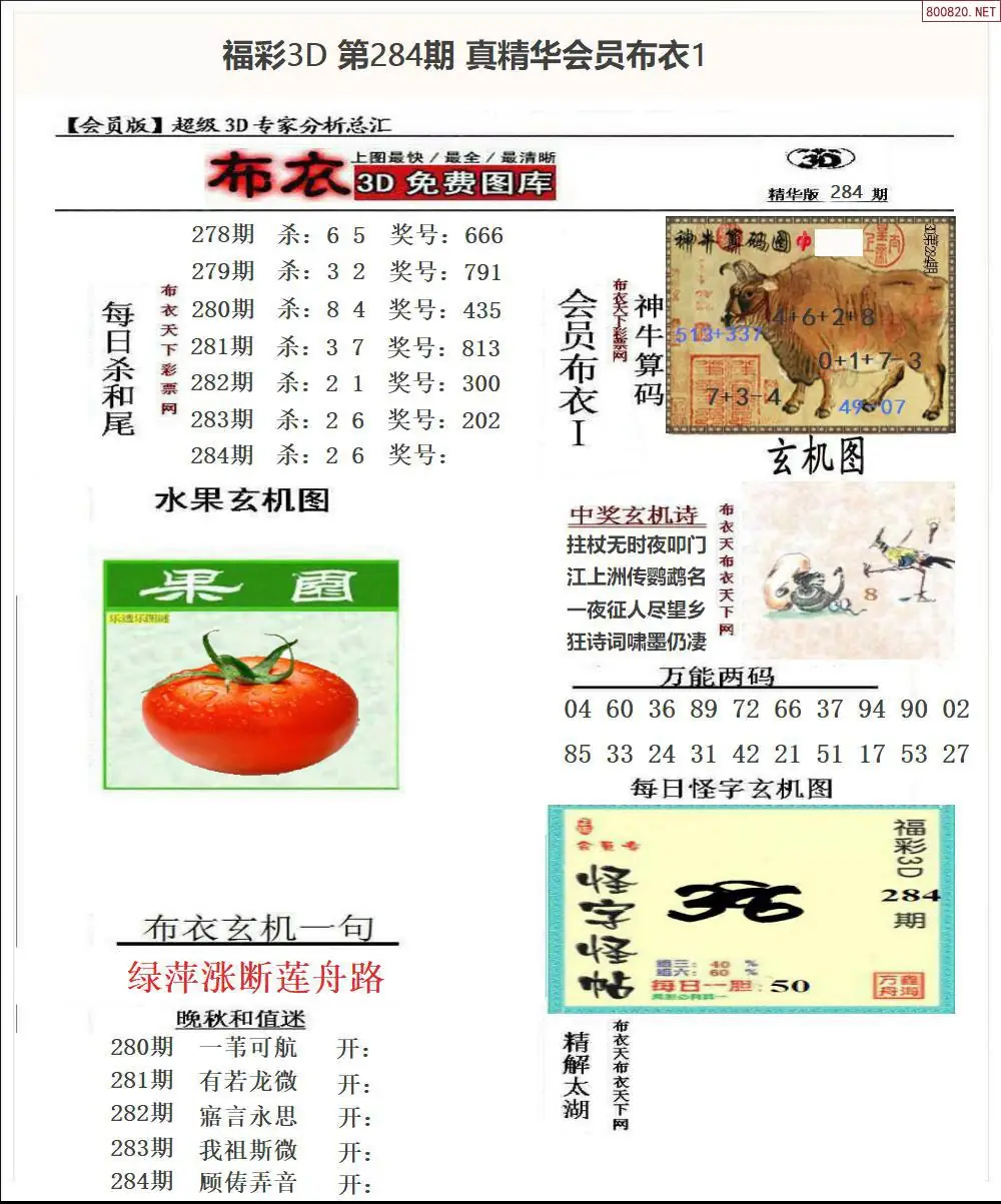 真精华会员布衣1